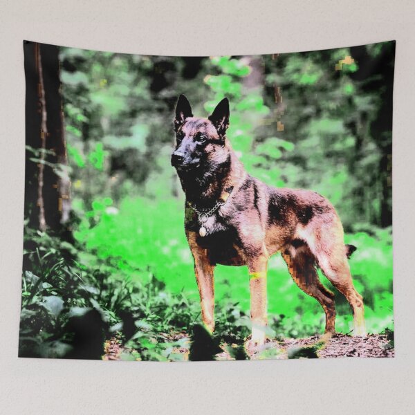 Artikelvorschau, Belgischer Malinois entworfen und verkauft von ontological.