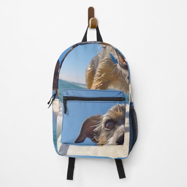 Item preview, Dog on a sup board. Summer sport. designed and sold by anytka.