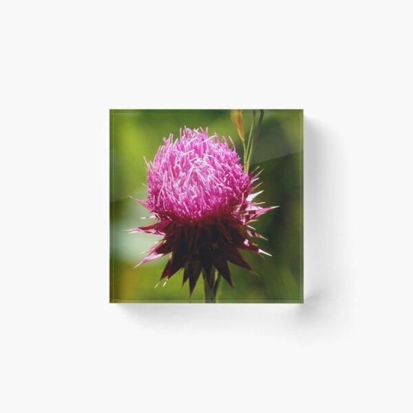 Item preview, Purple Thistle designed and sold by JaeandJ.
