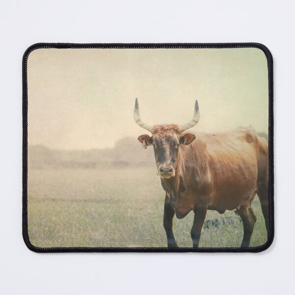 Item preview, Lone Cow photograph designed and sold by art64.