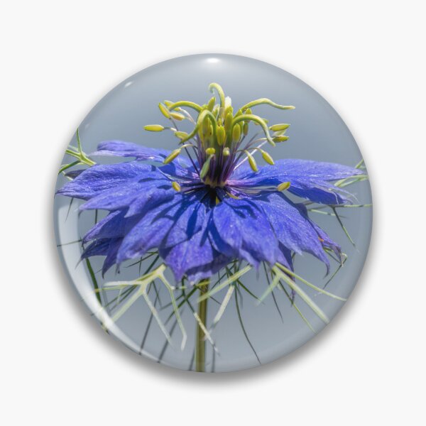 Item preview, Nigella Damascena designed and sold by JEZ22.