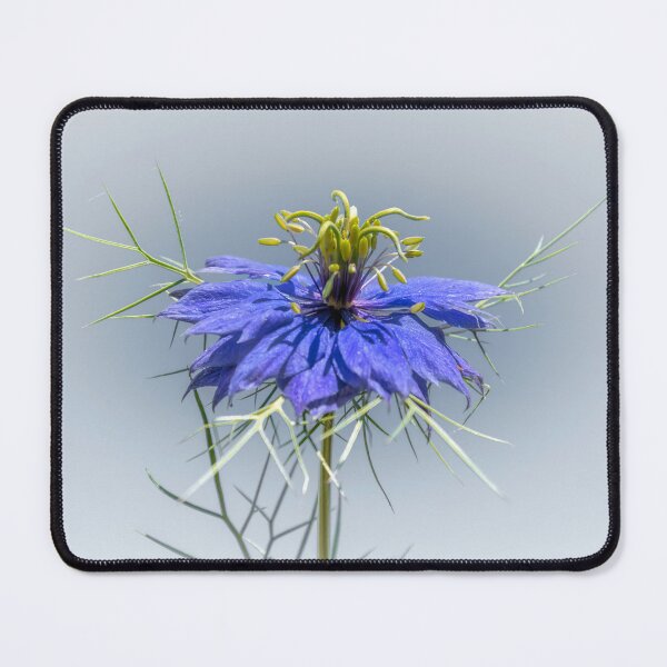 Item preview, Nigella Damascena designed and sold by JEZ22.