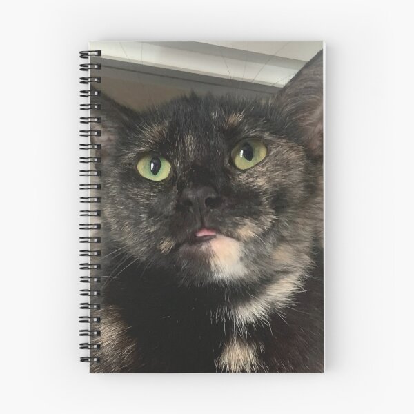Item preview, gato ampolla derpy designed and sold by GodComplexMuch.