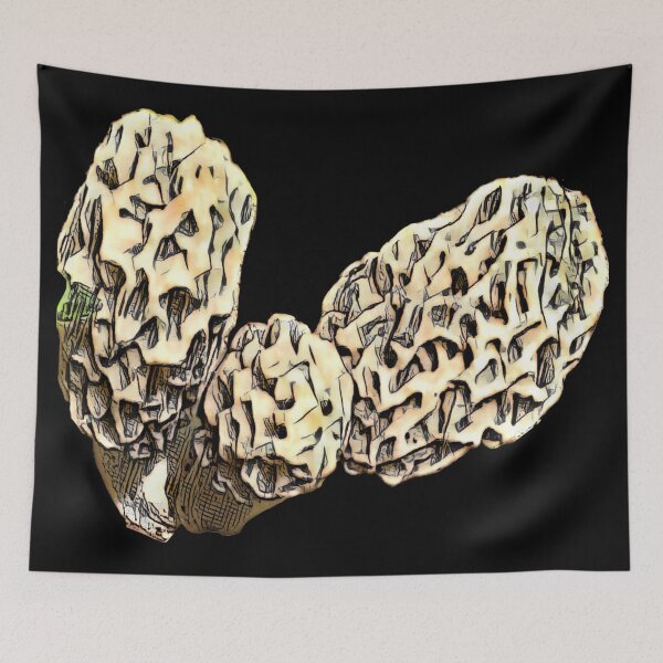 Item preview, Sketched Morel Mushrooms designed and sold by natnat7w.