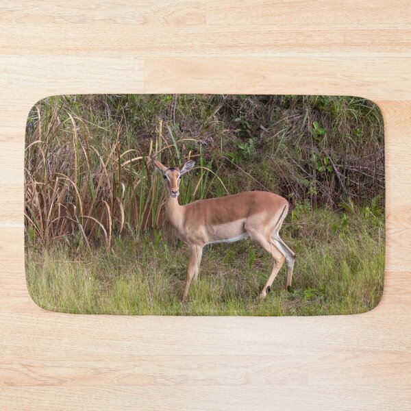 Item preview, Impala, Anelope, in Grassy Field designed and sold by SafariByMarisa.