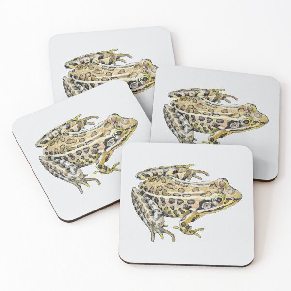 Item preview, Leopard Frog Drawing (no background) designed and sold by Emily Bickell.