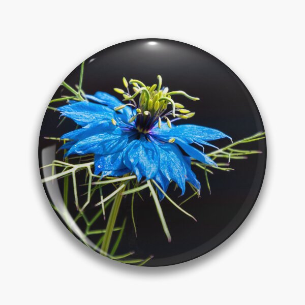 Item preview, Love-in-a-Mist designed and sold by JEZ22.