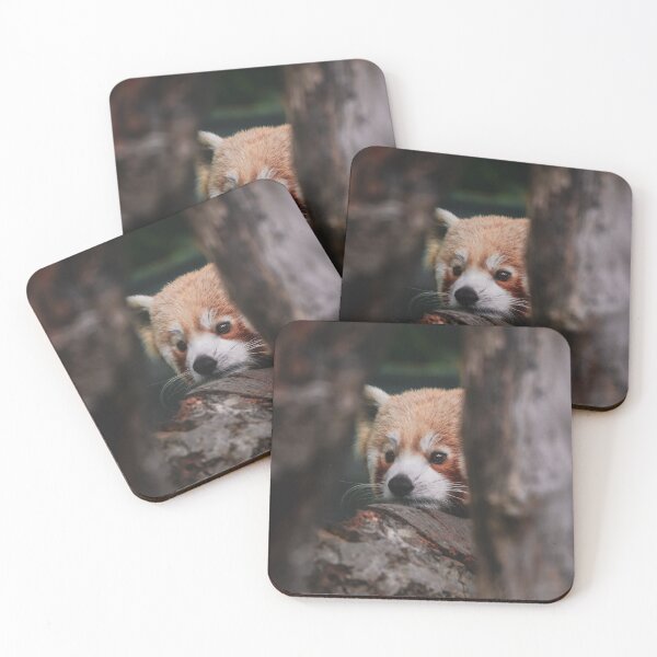Item preview, Red Panda designed and sold by SWilliamson94.