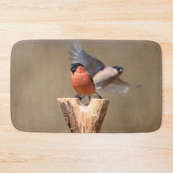 Item preview, Bullfinches at a feeding station designed and sold by GreyFeatherPhot.