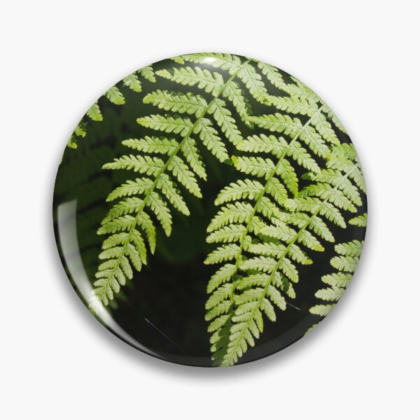 Item preview, Fern designed and sold by mahnkephotos.