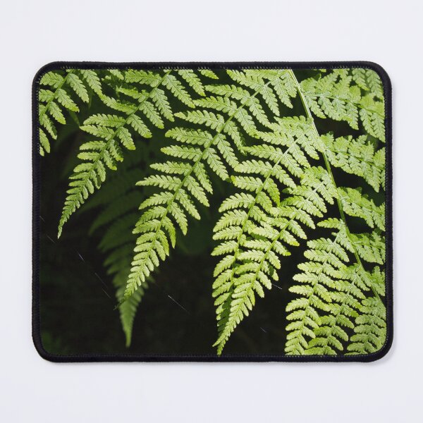 Item preview, Fern designed and sold by mahnkephotos.