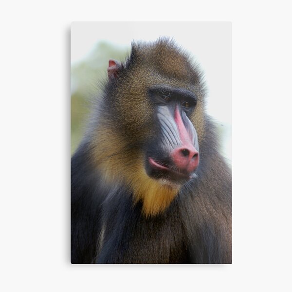 Man Alone Metal Print