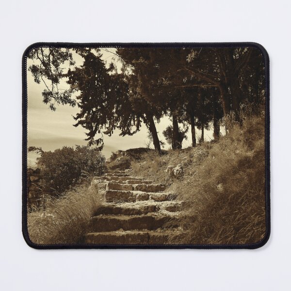 Item preview, Steps to Acropolis, Rhodes, sepia designed and sold by paulboizot.