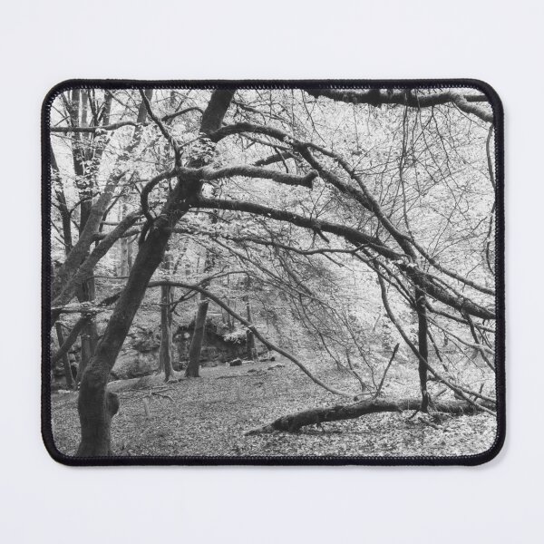 Item preview, Birches designed and sold by ShinyPhoto.