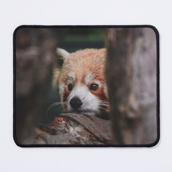 Item preview, Red Panda designed and sold by SWilliamson94.