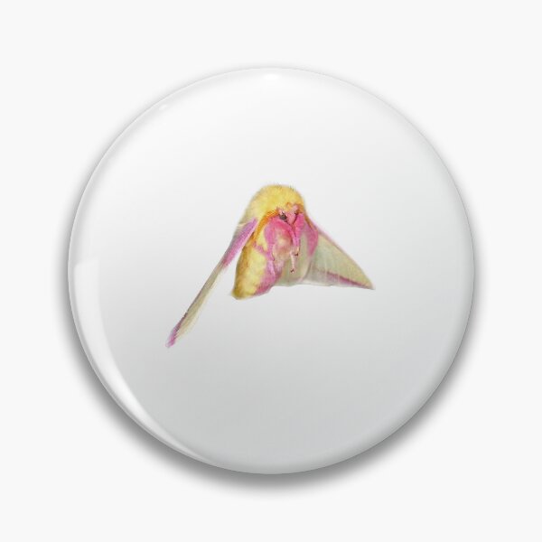 Item preview, Rose Moth Sticker + Pattern designed and sold by Singularian.