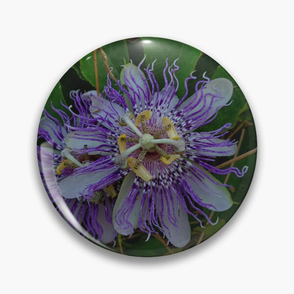Item preview, Passion Flower designed and sold by TwistedStag.