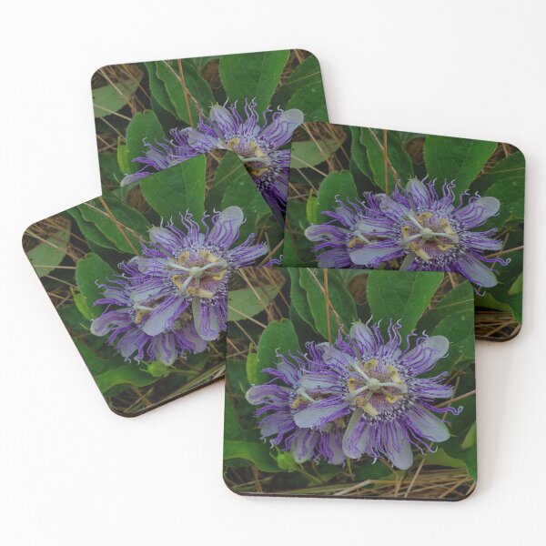 Item preview, Passion Flower designed and sold by TwistedStag.