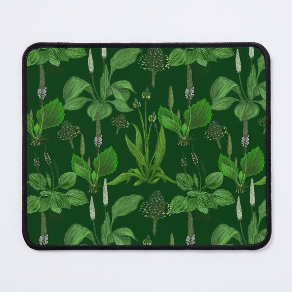 Item preview, Plantain Pattern designed and sold by Fabulous-Flora.
