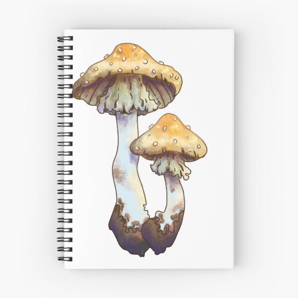 Item preview, Blusher Mushroom Sticker designed and sold by HoneyBrieeeArt.