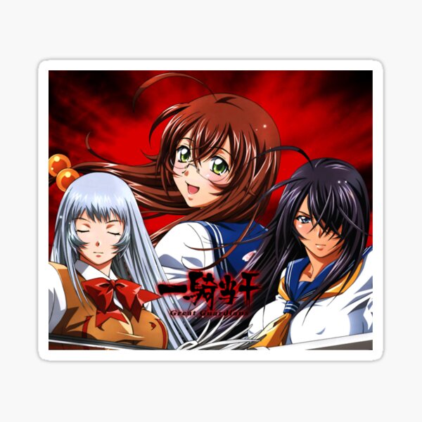 shin ikkitousen | Sticker