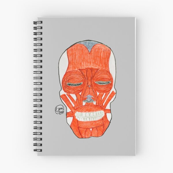 Item preview, Muscles of Facial Expression designed and sold by Arte Del Cuerpo Humano.