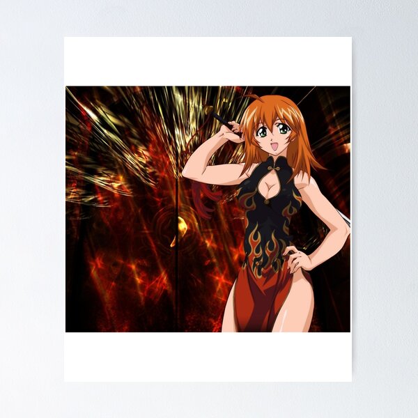  Anime Posters Shin Ikki Tousen Cool Posters Painting Canvas  Wall Art Prints for Wall Decor Room Decor Bedroom Decor Gifts  08x12inch(20x30cm) Frame-style: Posters & Prints