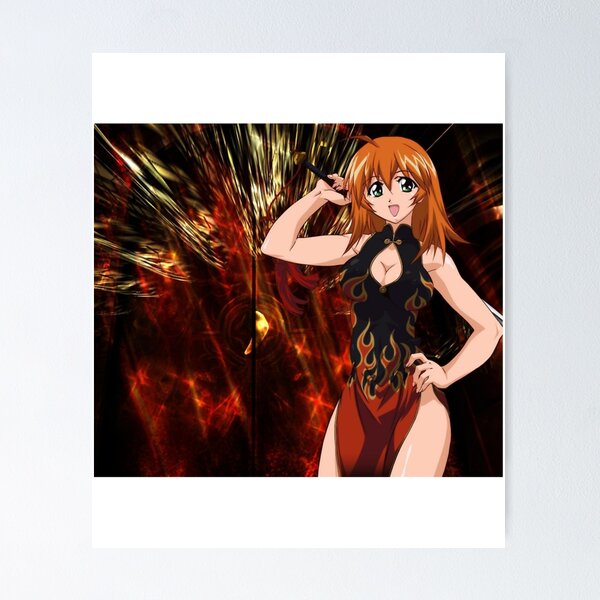 Shin Ikki Tousen Anime / Yamada Asaemon Poster for Sale by Ani-Games