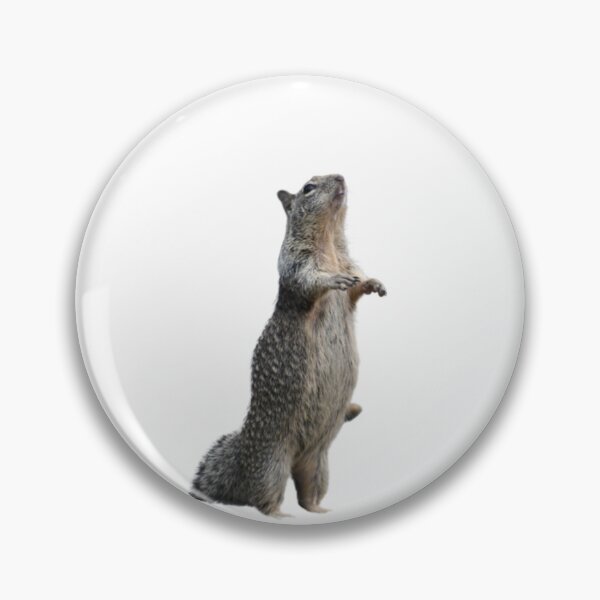 Item preview, Squirrel bagger designed and sold by Mauisbestart.