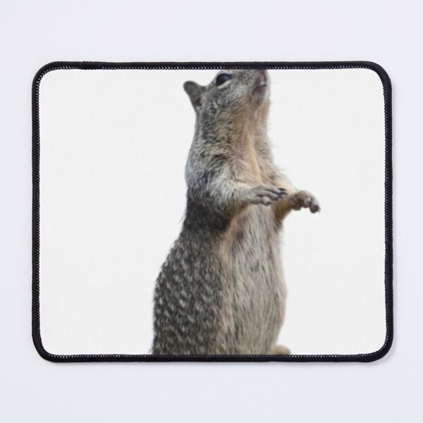 Item preview, Squirrel bagger designed and sold by Mauisbestart.