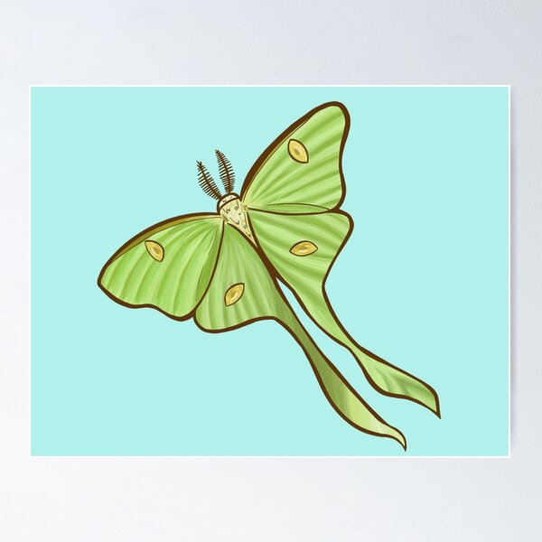 Item preview, Luna Moth designed and sold by Phoenix Bell.