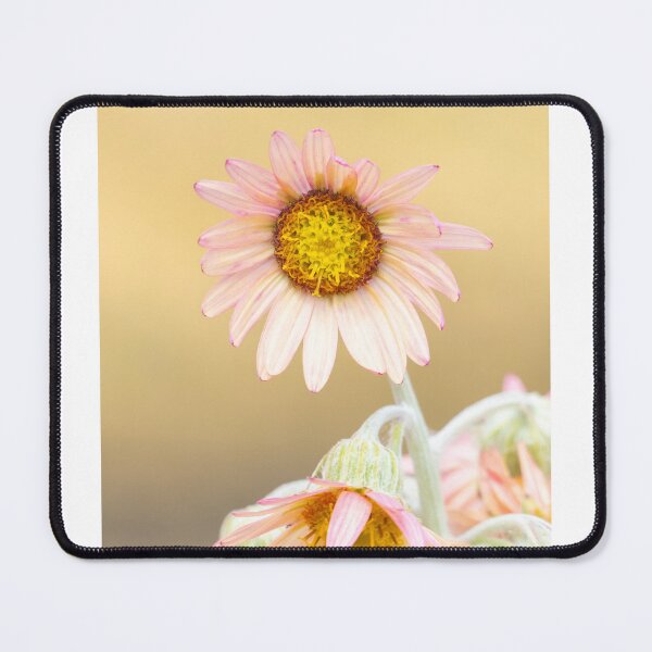 Item preview, Blushing Radiance designed and sold by Camerek.
