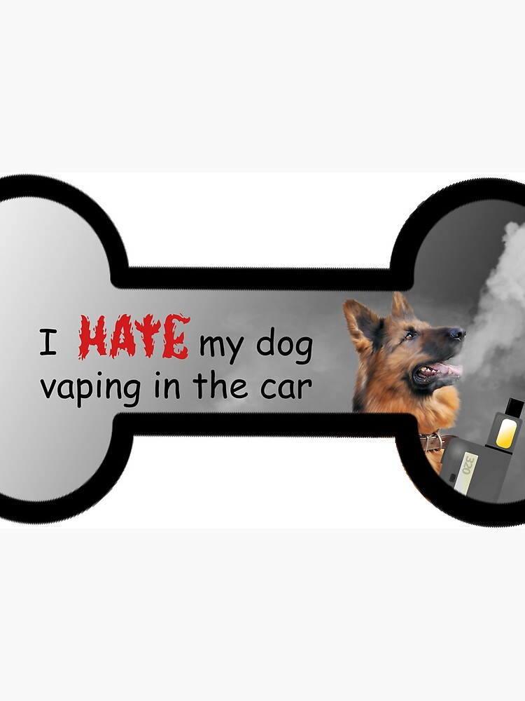 I hate my dog vaping in the car