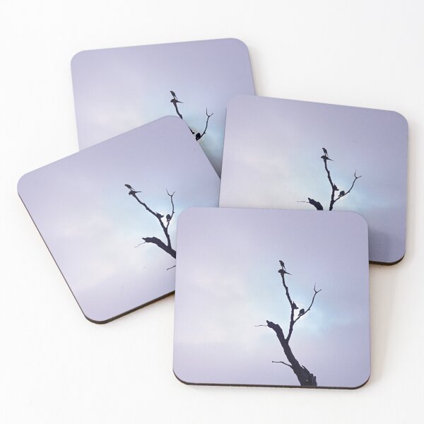 Item preview, Lorikeets in the Misty Magic  designed and sold by Liza Clements Photographic.