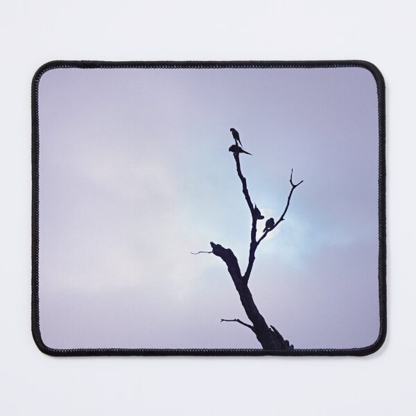 Item preview, Lorikeets in the Misty Magic  designed and sold by Liza Clements Photographic.