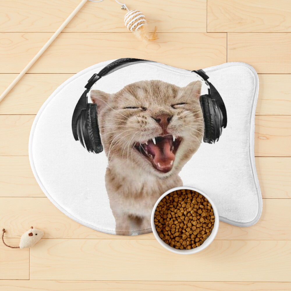 kitten with headphones