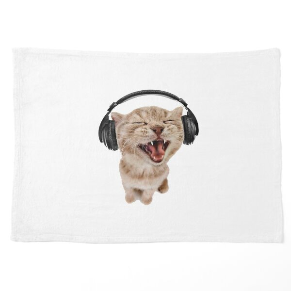 kitten with headphones