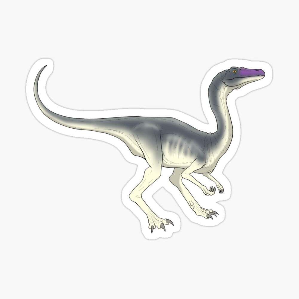 Pteranodon / Pterodactyl Jurassic Dinosaur  Sticker for Sale by  aquariumaster