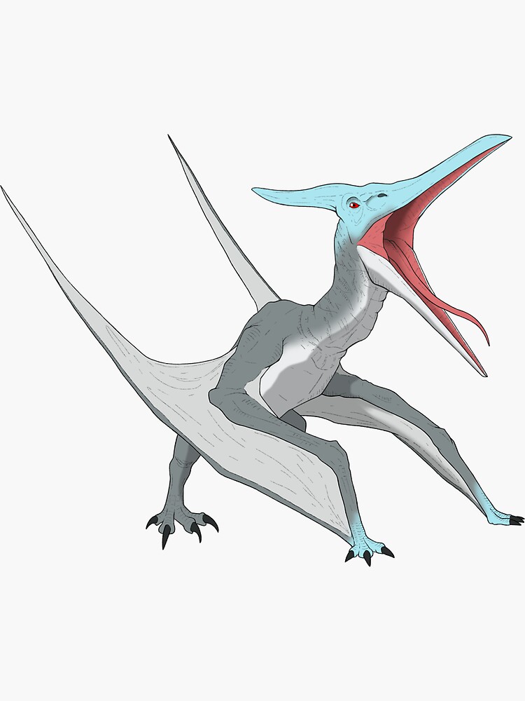 Pteranodon / Pterodactyl Jurassic Dinosaur  Sticker for Sale by  aquariumaster