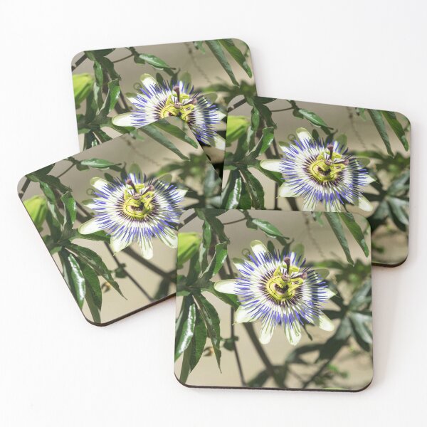 Item preview, Passion Fruit Bloom - Exotic Gift from South America designed and sold by Georgia Mizuleva.
