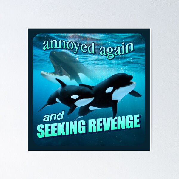 Item preview, Orca attack - annoyed again and seeking revenge word art designed and sold by snazzyseagull.