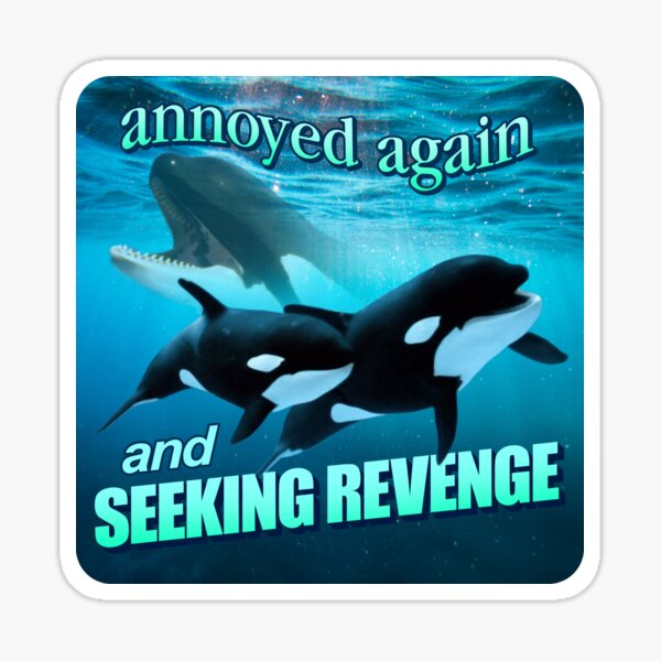 Item preview, Orca attack - annoyed again and seeking revenge word art designed and sold by snazzyseagull.