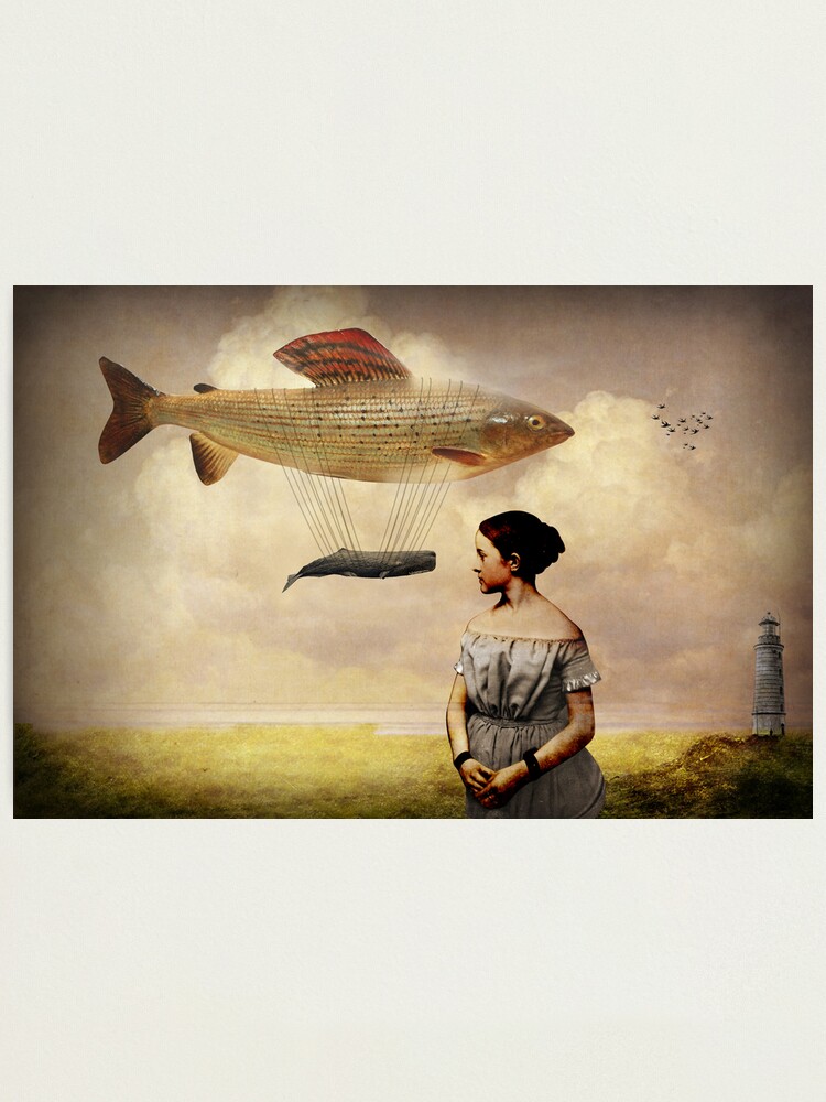Alternate view of Whale watching Photographic Print