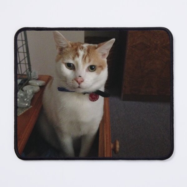 Item preview, Jack cat - Good morning designed and sold by buttakittin.