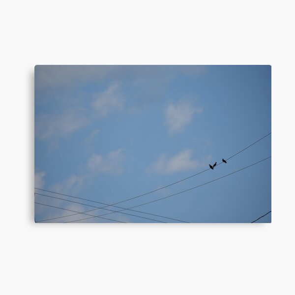 Item preview, 3 birds on a wire designed and sold by Rett-Hill.