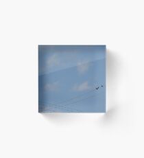 3 birds on a wire Acrylic Block
