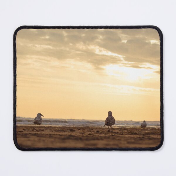 Item preview, The Three Gulls designed and sold by Benkilbeyprints.