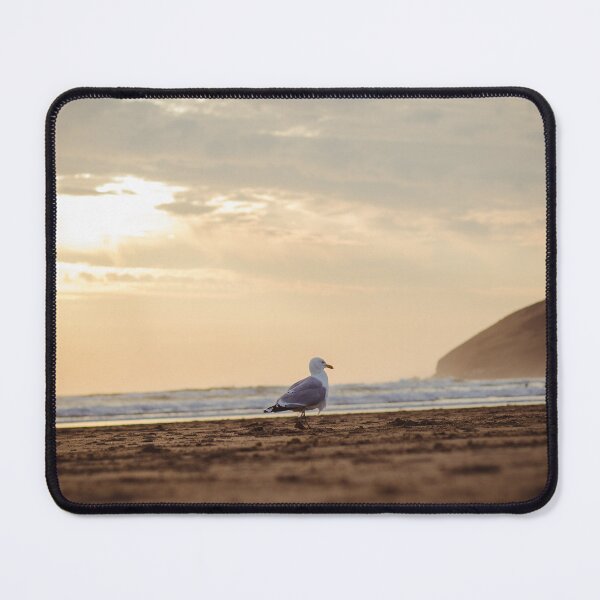 Item preview, Seagull Sunset designed and sold by Benkilbeyprints.