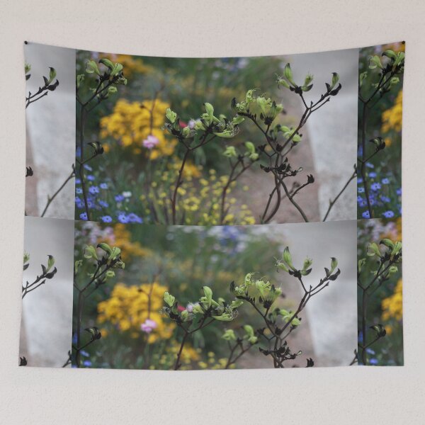 Item preview, Kangaroo Paw designed and sold by Melinda  Ison - Poor.