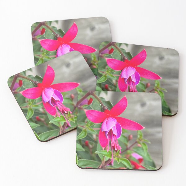 Item preview, Fuchsia magellanica fuchsia flower horizontal designed and sold by Ponted.